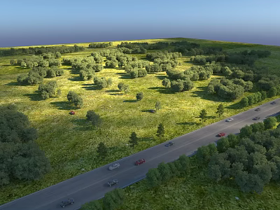 Aerial Planning Layout With Road Cars Trees And Green Scenic Landscape 3d model