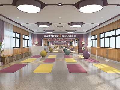Indoor Fitness Studio With Colorful Yoga Mats Neatly Arranged Exercise Balls And Round Ceiling Lights 3d model