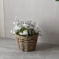 White Small Flowers In Wicker Basket On Gray Floor With Gray Wall And Green Plant