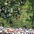Vertical Garden with Lush Green Plants Purple White Flowers and Decorative Pebble Border