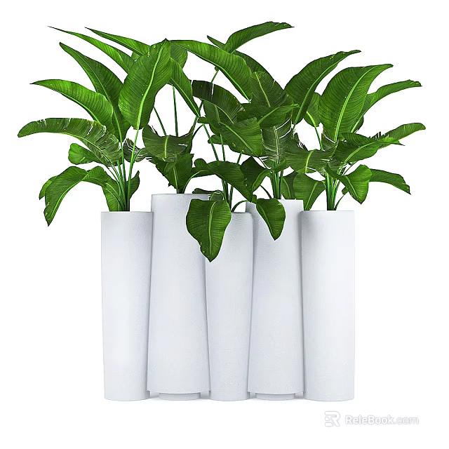 Stylish Potted Bonsai Plants With Lush Green Leaves In White Cylindrical Pots 3d model 