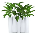 Stylish Potted Bonsai Plants With Lush Green Leaves In White Cylindrical Pots