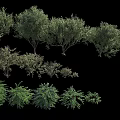 Various Green Shrubs in Different Sizes and Shapes for Landscaping Projects 3d model