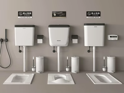 Water Saving Squat Toilets with Tanks and Accessories Display in Bathroom 3d model