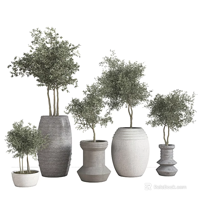Bonsai Potted Plants In Various Sizes With Different Designed Gray White Pots And Green Leaves 3d model 