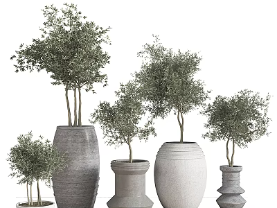 Bonsai Potted Plants In Various Sizes With Different Designed Gray White Pots And Green Leaves 3d model