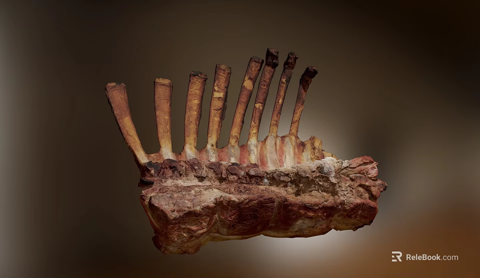 Juicy Grilled Ribs With Tender Meat And Seasoned Crispy Surface 3d model 