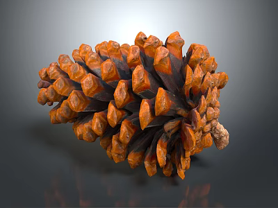 Close Up View Of Brown And Orange Pine Cone With Scaly Texture On Gray Background 3d model