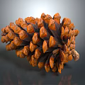 Close Up View Of Brown And Orange Pine Cone With Scaly Texture On Gray Background 3d model