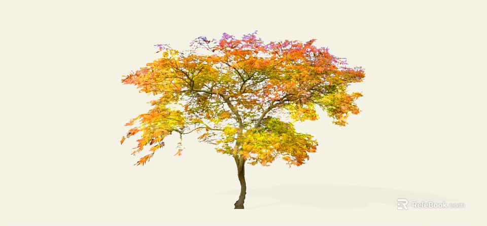 Beautiful Autumn Arbor With Lush Colorful Red Orange Yellow Purple Foliage 3d model 