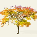 Beautiful Autumn Arbor With Lush Colorful Red Orange Yellow Purple Foliage
