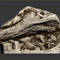 Wood Stone Carving Artwork With Intricate Natural Patterns And Detailed Textured Surface