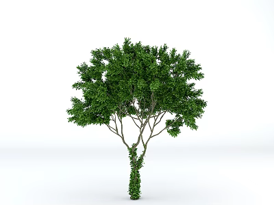 Green Tree with Lush Green Leaves on Trunk and Branches Standing Against White Background 3d model