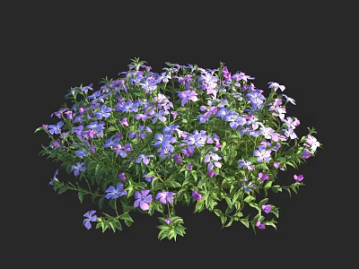 Vibrant Purple And Pink Flowers With Fresh Green Leaves In Lush Plant Cluster 3d model