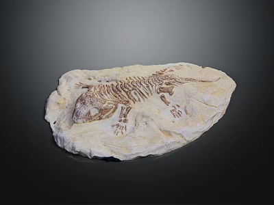 Ancient Animal Skeleton Fossil Embedded in Rock Slab with Detailed Bone Structure and Prehistoric Remains 3d model