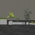 Bonsai and Potted Plants with Various Greenery in White Planters on Marble Floor