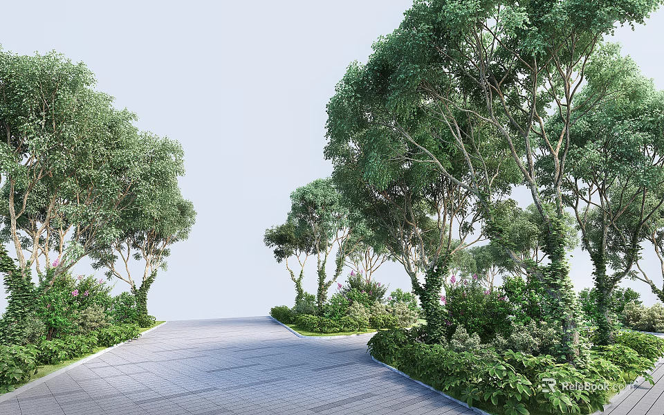 Tall Trees Lining Winding Path With Lush Greenery In Natural Setting 3d model 