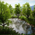 Modern Lake Green Tree Garden Park Tree Water Lake Landscape Tree Vegetation Villa High-end Landscape Natural Plant Landscaping 3d model