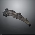 Twisted Plant Root With Natural Texture And Unique Shape On Gray Background