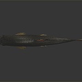 Modern Fish Pencil Fish Fish 3d model