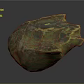 Colorful Textured Decorative Shell With Green Yellow And Blue Iridescent Surface