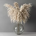 Transparent Glass Vase With White Pampas Grass Flowers On Light Tabletop Against Gray Wall