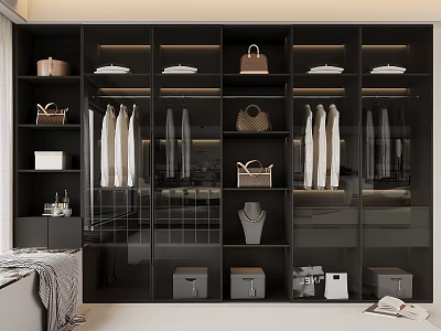 Modern Built in Wardrobe Interior With Hanging Clothes Shelves Bags And Boxes 3d model