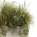 Decorative Garden Accent Featuring Concrete Planter With Various Green Grasses And Hanging Foliage