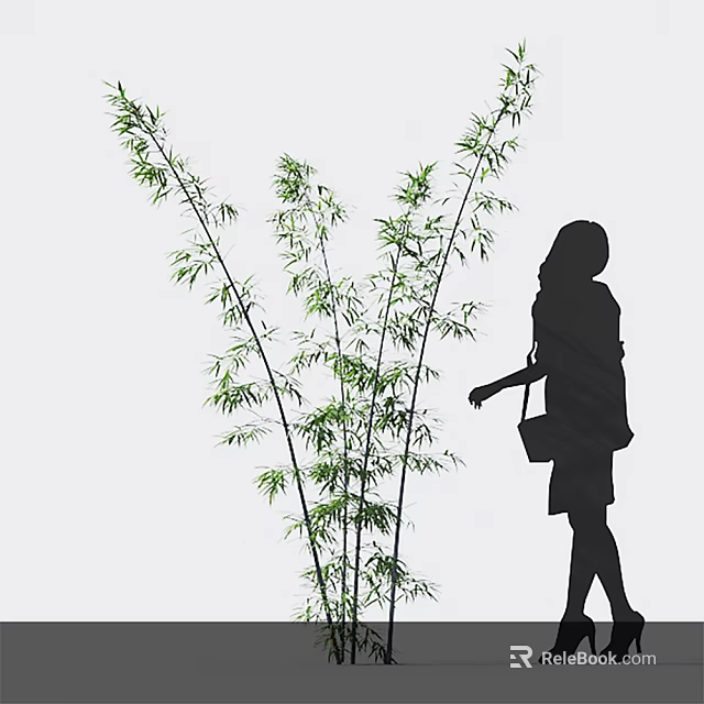 Bamboo Plants With Silhouette Of A Walking Woman 3d model 
