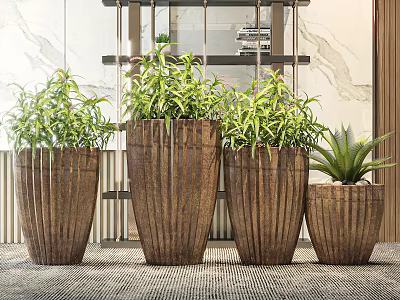 Bonsai Potted Plants in Brown Ceramic Pots Various Sizes with Green Foliage and Modern Background 3d model