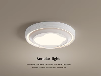 Annular Ceiling Light With Modern Round Design And Soft Illumination For Home Interior 3d model