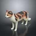 Calico Cat with Yellow Eyes in Standing Pose Against Dark Background Showing Smooth Fur