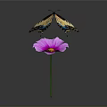 Colorful Butterfly With Yellow Black And Blue Wings Perched On Purple Flower