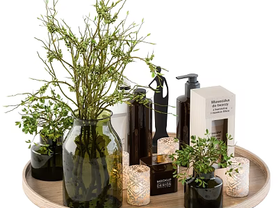 Decorative Daily Cleaning Supplies On Wooden Tray With Green Plants And Glass Vase 3d model
