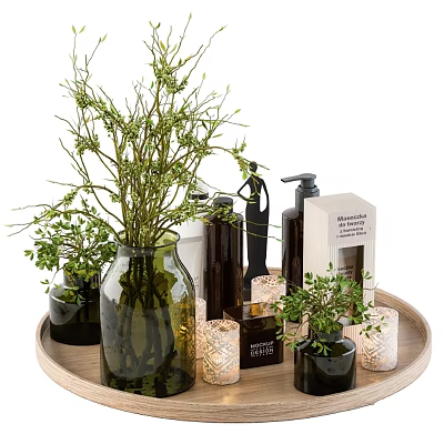 Decorative Daily Cleaning Supplies On Wooden Tray With Green Plants And Glass Vase 3d model