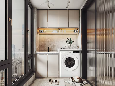 Modern Home Balcony With Washing Machine White Cabinets Windows And Small Plants 3d model
