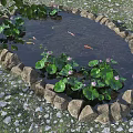 Serene Water Fountain With Circular Stone Border Water Lilies And Koi Fish In Grass Area