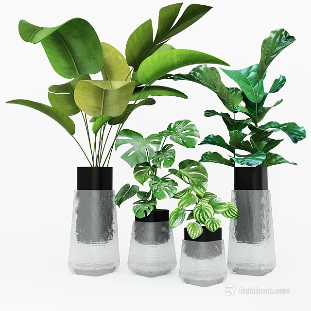 Modern Decorative Ornament Set With Transparent Vases Black Top And Green Plants 3d model 