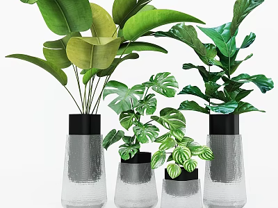 Modern Decorative Ornament Set With Transparent Vases Black Top And Green Plants 3d model