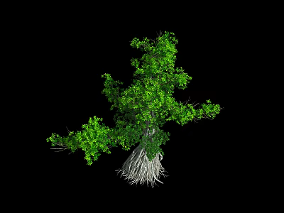modern banyan tree 3d model modern banyan tree 3d model