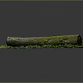Natural Wooden Log With Green Moss And Fresh Grass On Dark Background