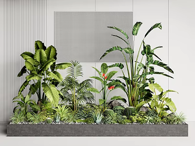 Indoor Landscape With Large Leafy Plants Small Shrubs Decorative Stones And Textured Wall 3d model