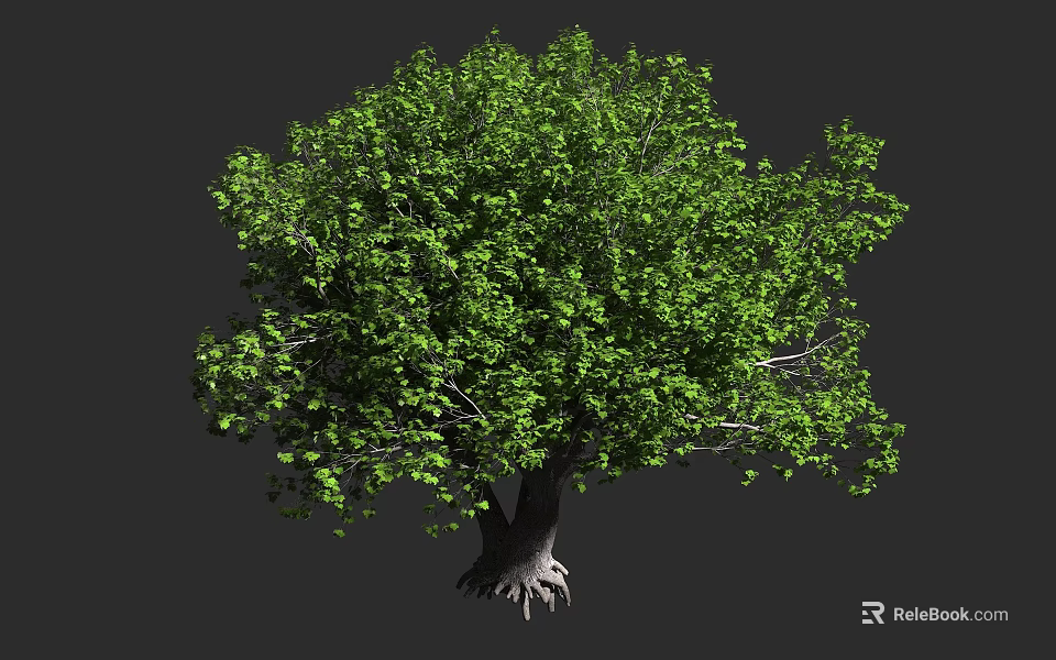Lush Green Arbor Tree With Thick Trunk And Exposed Roots In Natural Setting 3d model 