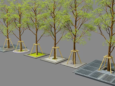 Green Leaf Trees Supported By Yellow Stakes On Square Concrete Bases On Gray Ground 3d model
