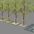 Green Leaf Trees Supported By Yellow Stakes On Square Concrete Bases On Gray Ground