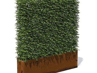 Outdoor Greening Plants Hedgerow Flower Box Plant Wall model