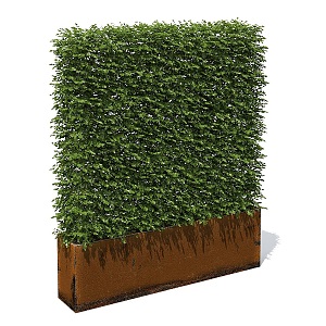 Outdoor Greening Plants Hedgerow Flower Box Plant Wall 3d model