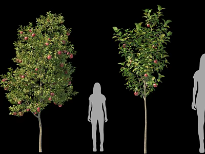 Trees With Red Fruits And Green Foliage Next To Human Silhouettes For Size Reference 3d model