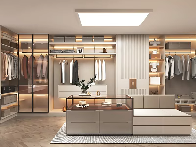 Cloakroom Clothes Display Cabinet Dresser Luggage Jewelry 3d model