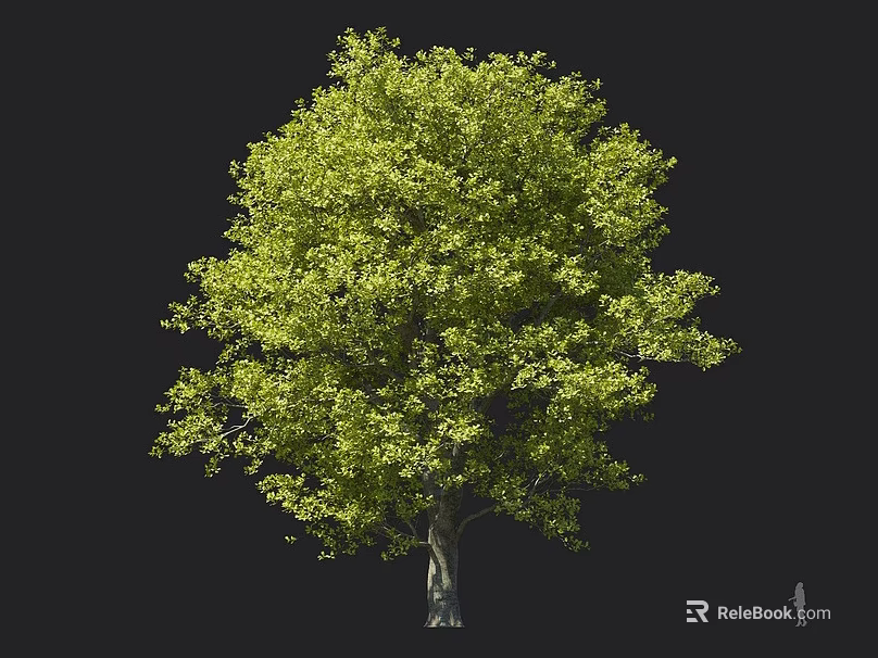 Lush Green Arbor With Dense Foliage Canopy And Sturdy Trunk Against Dark Background 3d model 